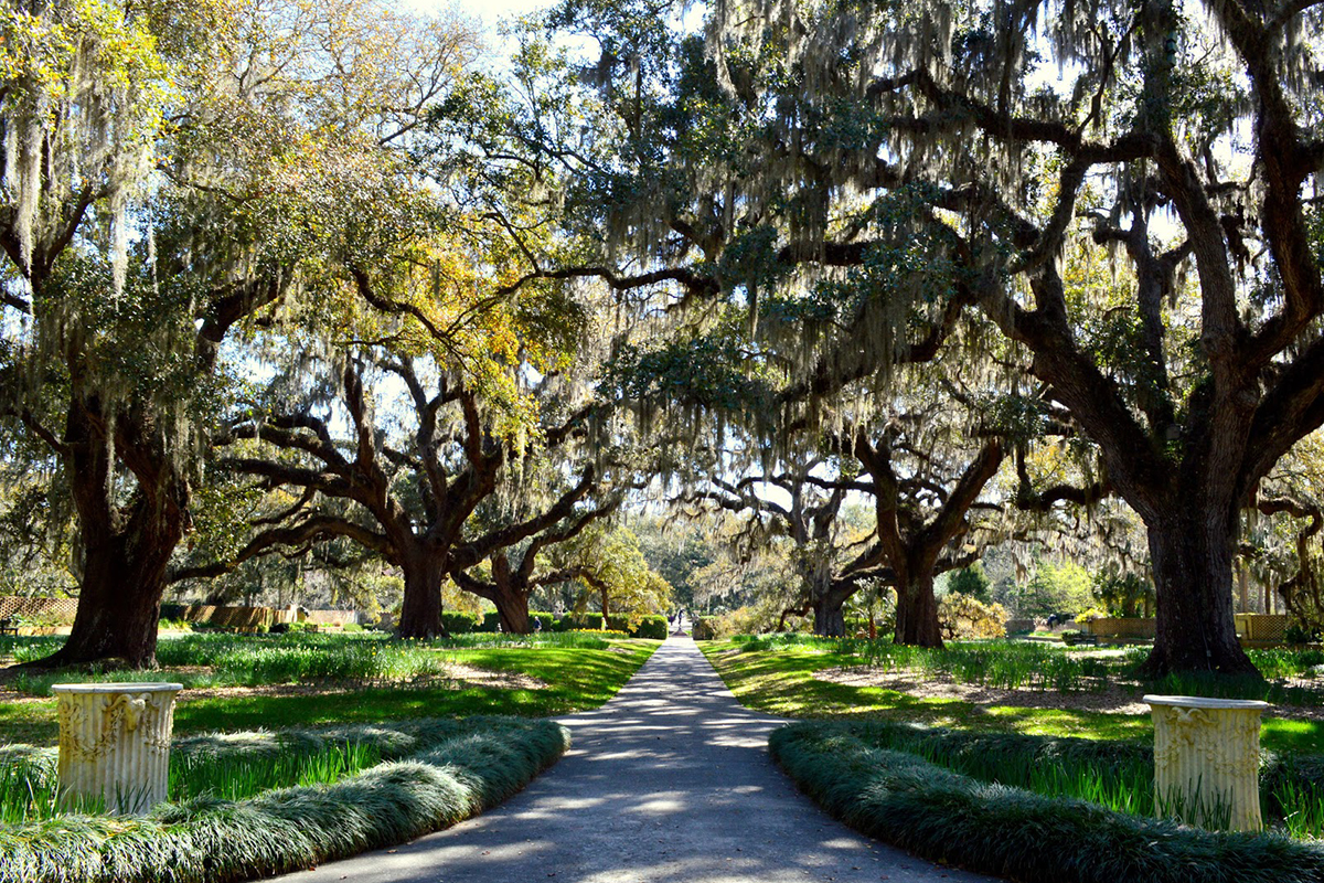 Bookgreen Gardens Pathway