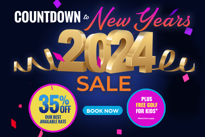 Countdown to New Year's Sale - 40% Off