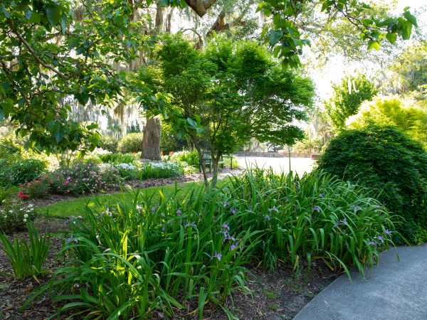 BROOKGREEN GARDEN