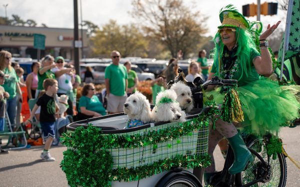 st patrick;s day