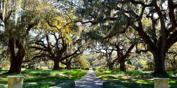 Bookgreen Gardens Pathway