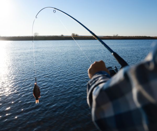 fishing