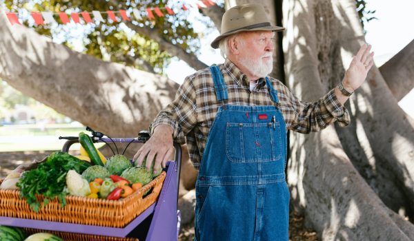 farmers market