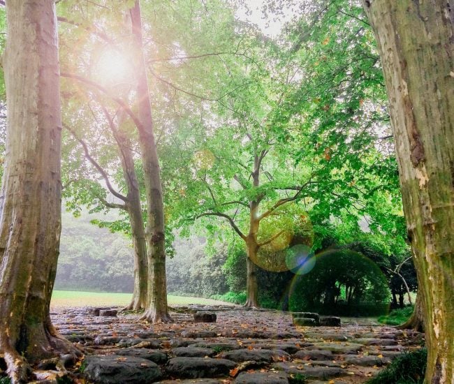 nature park